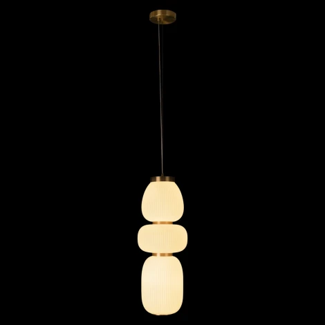 Подвесной светильник Loft It Duff 10422/C (LED, 220V, на тросе, круглые)