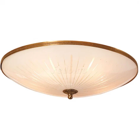 Потолочный светильник Citilux 912 CL912501