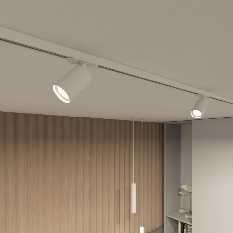 Трековый светильник Denkirs DK620 DK6201-WH (220V, круглые)