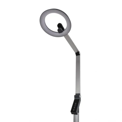 Торшер светодиодный с сенсорным выключателем Lumion Genri 8332/15FL темно-серый, металл/пластик LED 15W 3000/4000/6000K ССТ/диммер/LCD 220V (регулировка яркости)