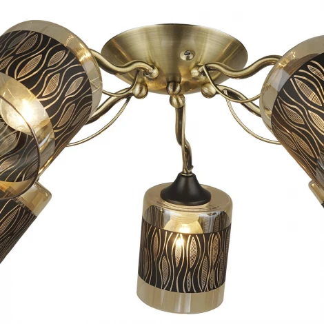 Потолочная люстра Wedo Light Floretta 66611.01.37.05