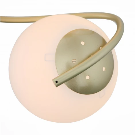 Потолочная люстра ST Luce Delicata SL711.202.04