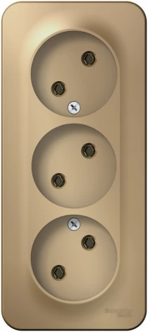 Розетка накладная тройная без заземления (титан) Systeme Electric Blanca BLNRA000314