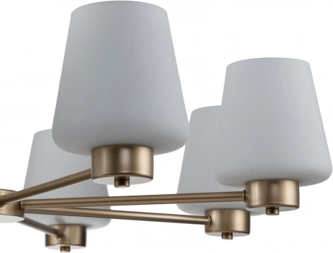 Люстра подвесная Tulip V000002 (13004/8P Gold)