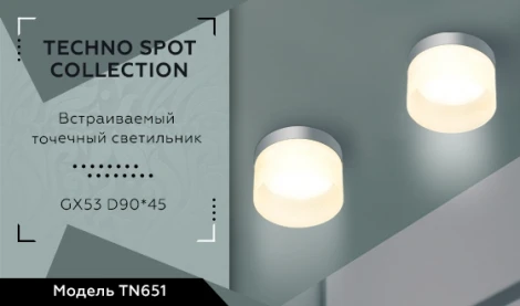 Встраиваемый точечный светильник Ambrella Techno Spot TN651 (220V, круглые)