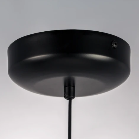 Подвесной светильник Lightstar Genova 610046 (LED, 220V, на проводе)