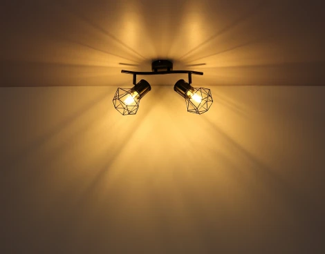 Спот на штанге Priska 54017-2 Globo (220V)