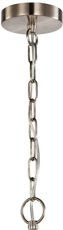 Подвесная люстра Favourite Argo 2934-6P