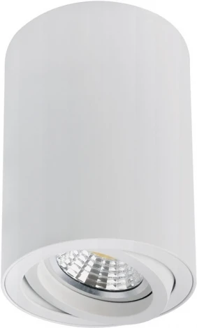 Накладной потолочный светильник Arte Lamp Sentry A1566PL-1WH (220V, круглые)