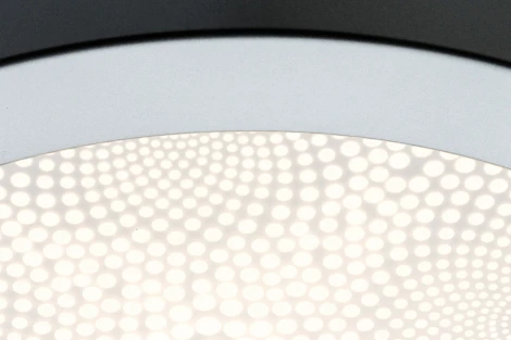 Настенно-потолочный светильник Paulmann Ivy 70687