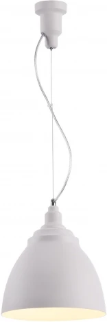 Подвесной светильник Maytoni Bellevue P534PL-01W (220V, на тросе, круглые)