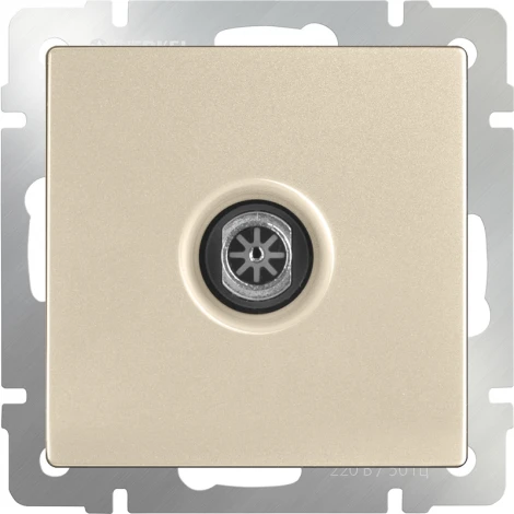 ТВ-розетка оконечная (шампань) Werkel W1183011 (a050856)