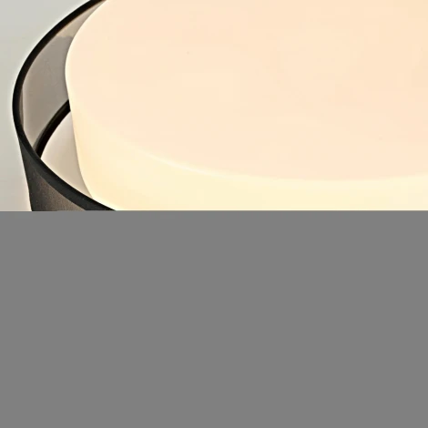 Круглый потолочный светильник LED Lu Carte LC-11-0767