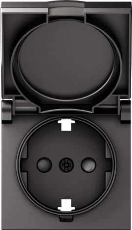 Накладка для розетки Schuko с заземлением, с крышкой, 16A 250 В~, матовый титан IP44 Donel A07 DE45445