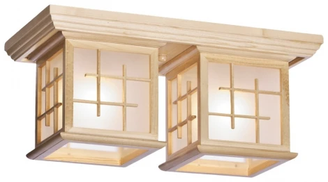 Потолочный светильник Velante 592 592-717-02 (220V, куб)