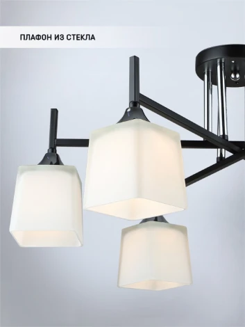 Потолочная люстра Wedo Light Semel WD3640/6C-BK-CR-WT