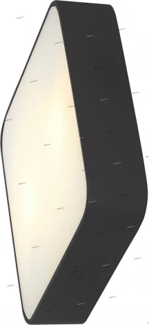 Потолочный светильник Arte Lamp Cosmopolitan A7210PL-2BK (220V)