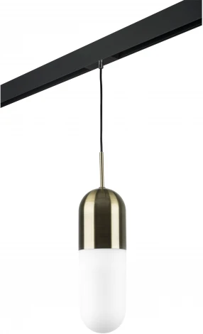 Трековый светильник однофазный 220V Lightstar Ramo PRO690111