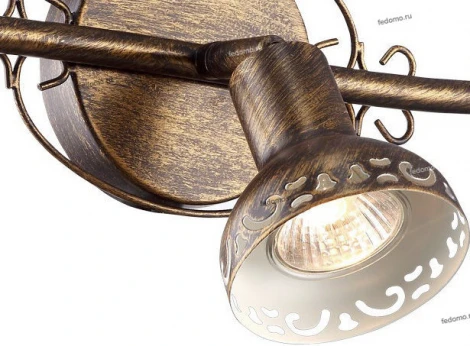 Спот Arte Lamp Focus A5219PL-3BR