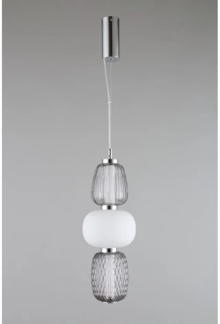 Подвесной светильник Aployt Oliwcia APL.319.06.29 (LED, 220V, на тросе)
