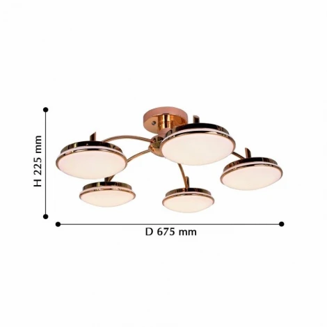 Потолочная люстра F-Promo Ledante 2473-5P