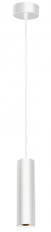 Подвесной светильник Эра PL1 GU10 WH 300 (220V, на проводе, круглые)