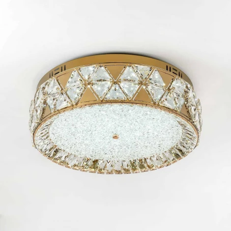 Потолочный светильник светодиодный с пультом с регулировкой цветовой температуры Modelux MODELUX ML.2304.500 GD