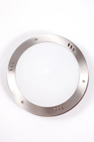 Потолочный светильник уличный Oasis Light 77809 SS