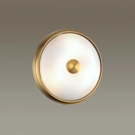 Настенно-потолочный светильник Odeon Light Pelow 4956/2 (220V, круглые)