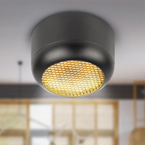 Точечный светильник ЭРА OL56 BK OL56 BK