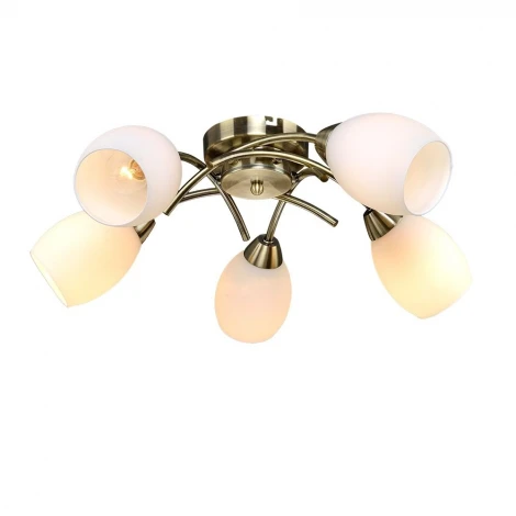 Потолочная люстра Максисвет 8996 1-8996-5-AB E14