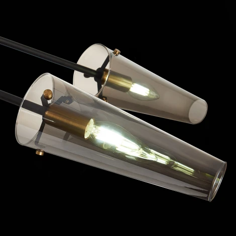 Потолочная люстра на штанге ST Luce Morave SL1209.302.06 (220V)