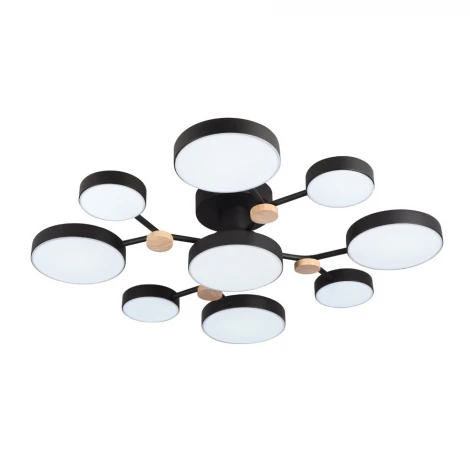 Потолочная люстра светодиодная с пультом с регулировкой цветовой температуры и яркости LED4U LED4U L3201-780 BK