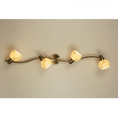 Спот на штанге Citilux Соната CL520543 (220V, цветы, круглые)