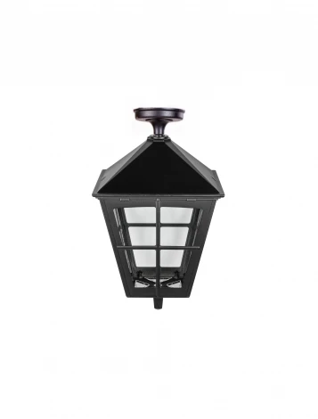 Потолочный светильник уличный Oasis Light QUADRO XXL 79905XXLA Bl