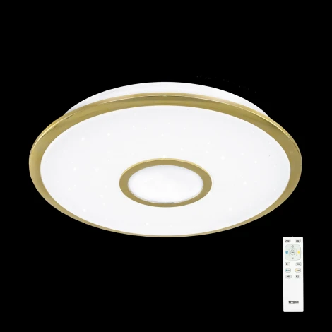 Потолочный светильник Citilux Старлайт R CL70332R