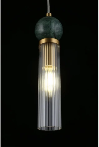 Подвесной светильник Aployt Izidora APL.337.06.01 (220V, на проводе)