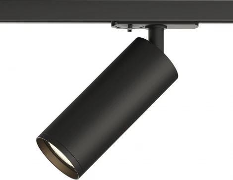 Трековый светильник Denkirs DK620 DK6202-BK (220V, круглые)