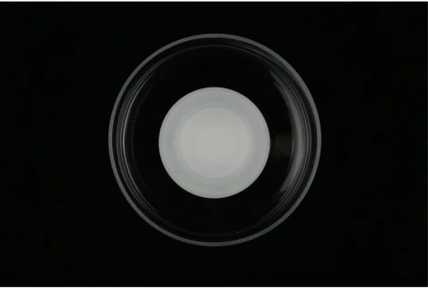 Настенный светильник LED Aployt Eloiza APL.341.11.06 (220V, круглые)