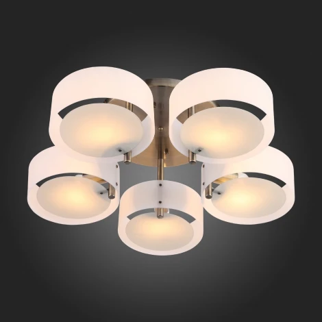 Потолочная люстра ST Luce Foresta SL483.352.05