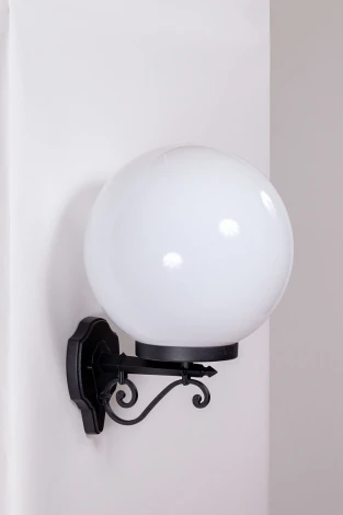 Настенный фонарь уличный Oasis Light 88201L Bl (220V, шар, IP44)