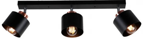 Спот Imex SP.024-53-52 (220V)