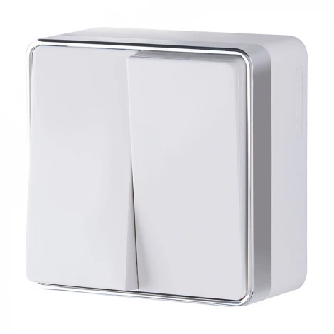 Выключатель двухклавишный Gallant (белый) Werkel W5020001 (a051592)