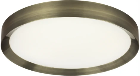 Настенно-потолочный светильник Odeon Light Lunor 4948/60CL