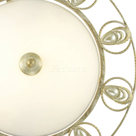 Настенно-потолочный светильник Odeon Light Kanti 3483/2C