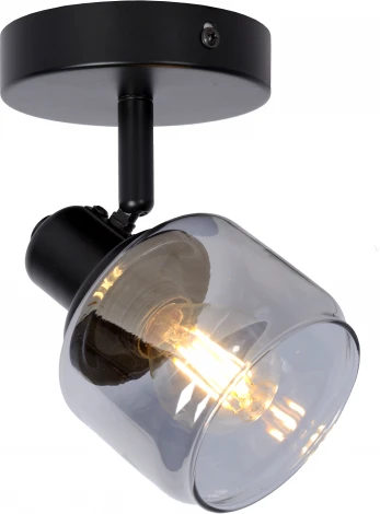 Спот Bjorn 77979/01/30 (220V)