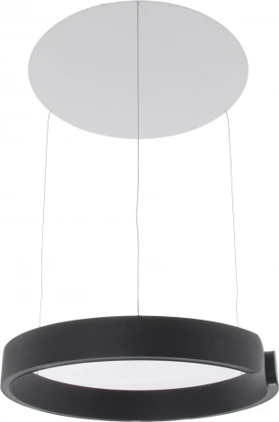 Подвесной светильник светодиодный с регулировкой цветовой температуры и яркости Mizi'en Leo MZ31371-400B (220V, на тросе, кольцо)