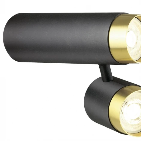 Спот Lumien Hall Sauris LH8020/2C-BK-GD