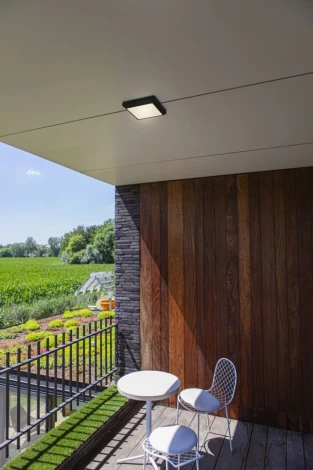 Потолочный светильник уличный светодиодный Oasis Light SIDNEY LED W1021 Gr (220V, IP54)