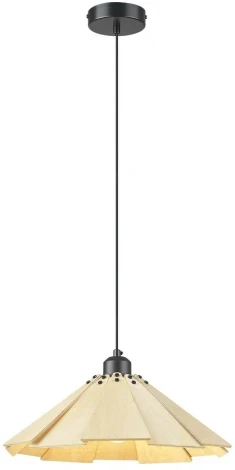 Подвесной светильник Velante 530-716-01 (220V, на проводе)